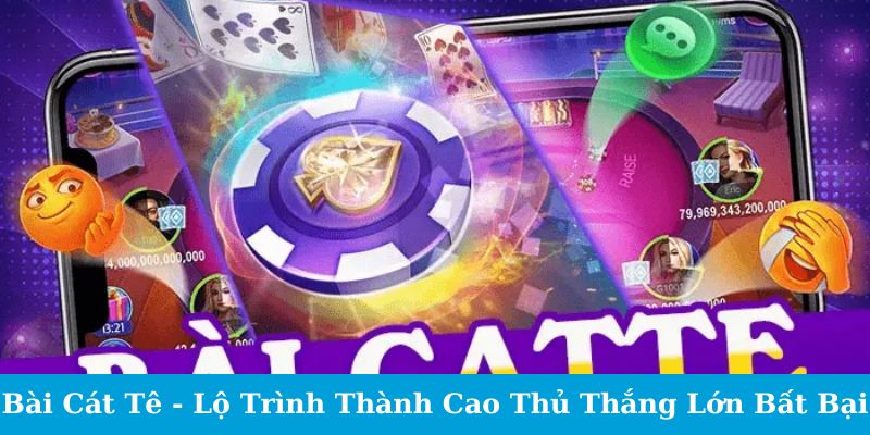 Tại Sao Nên Chơi Bài Catte Tại Sodo66