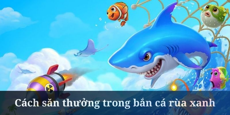 Những Mẹo Để Chiến Thắng Trong Bắn Cá Rùa Xanh