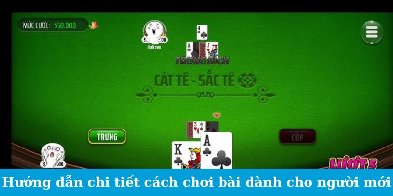 Bí Kíp Để Chiến Thắng Trong Bài Catte