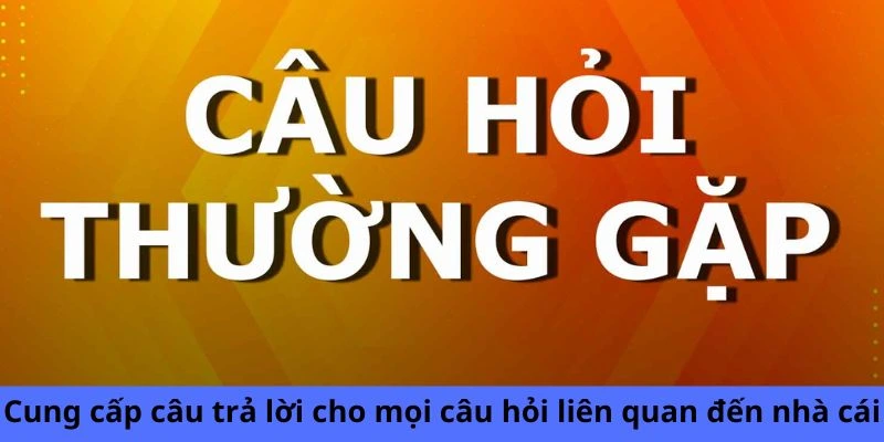 Cung cấp câu trả lời cho mọi câu hỏi liên quan đến nhà cái